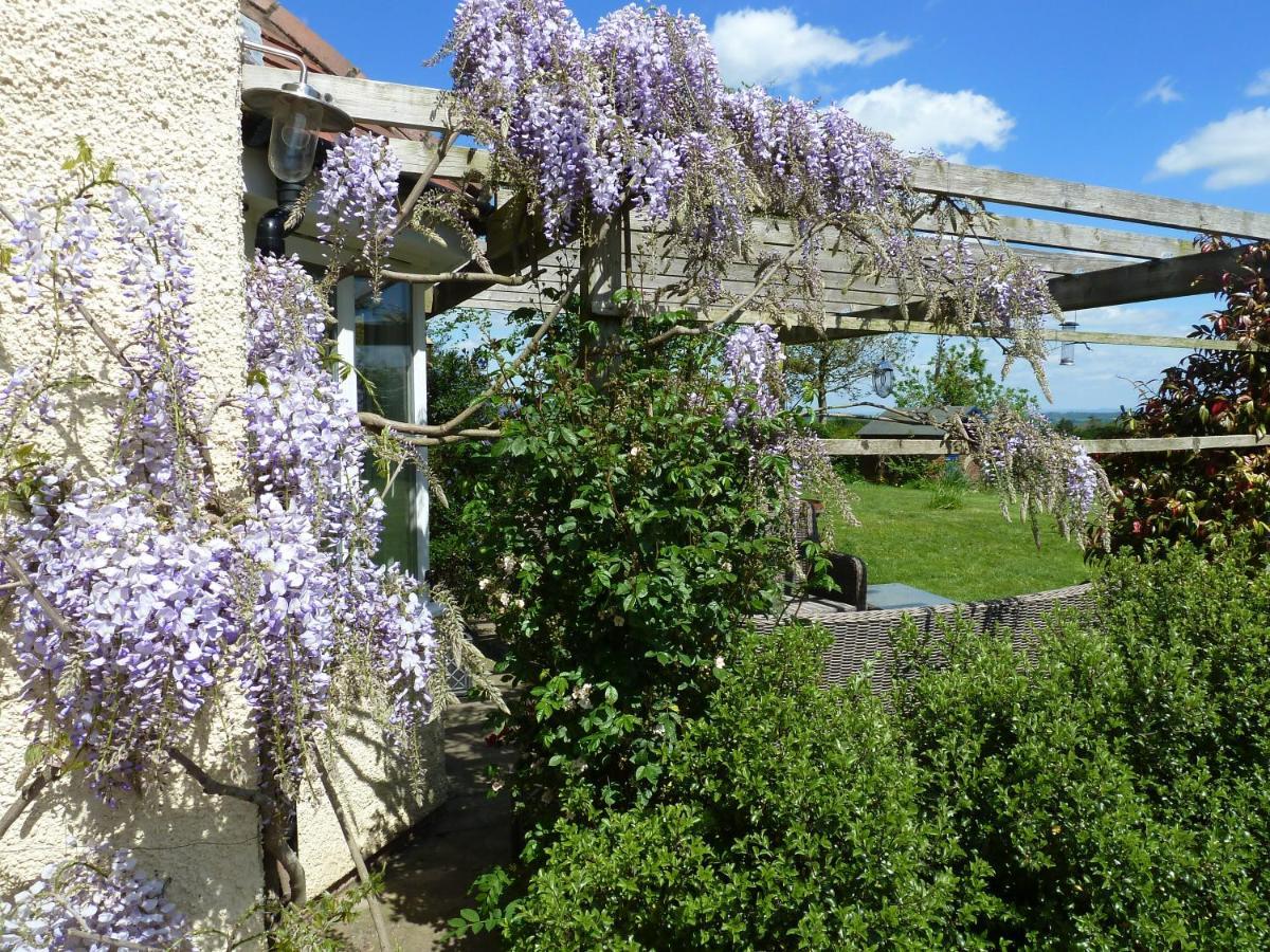 The Lodge, At Orchard Cottage Much Marcle Extérieur photo
